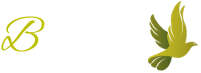 ввечность ввечность